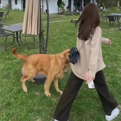 富贵再逼人